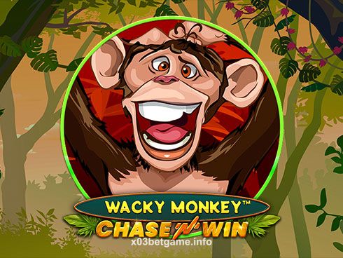 Wacky Monkey - Chase'N'Win Slot Game